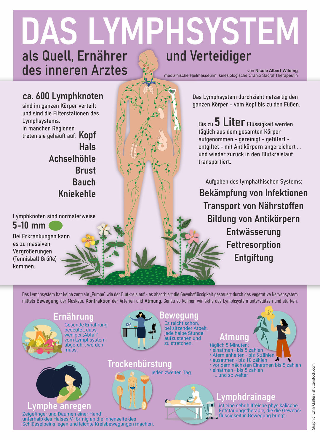Das Lymphsystem als Quell, Ernährer und Verteidiger des inneren Arztes Das Lymphsystem – Infographic von Nicole Albert, Graphic und Gestaltung: Chili Gallei